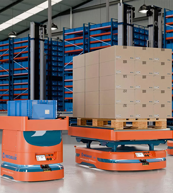 Drive in pallet racking conveyor system img